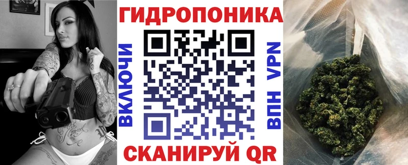 Наркота Тарко-Сале Конопля  A PVP  MEGA зеркало  МЕТАМФЕТАМИН  Галлюциногенные грибы  Меф мяу мяу  Гашиш  COCAIN 
