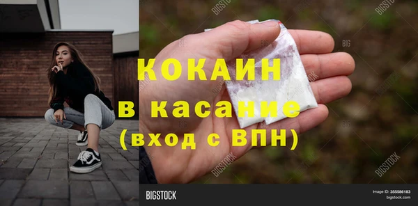 стаф Козельск
