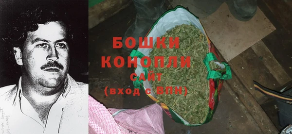 стаф Козельск