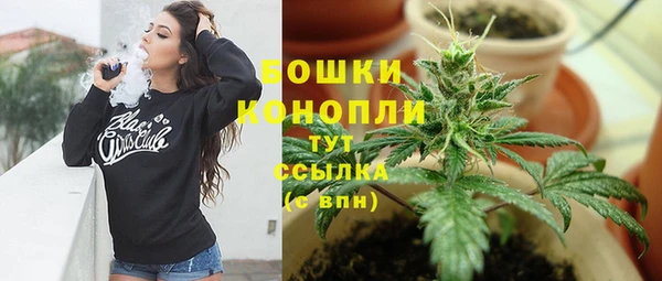 стаф Козельск