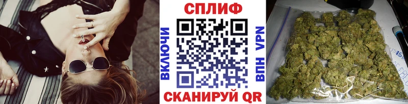 где купить наркотик  Тарко-Сале  гидра как зайти  Каннабис AK-47 
